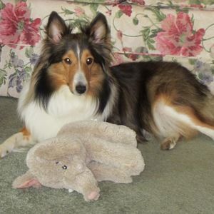 Meet your Posher, Tracy